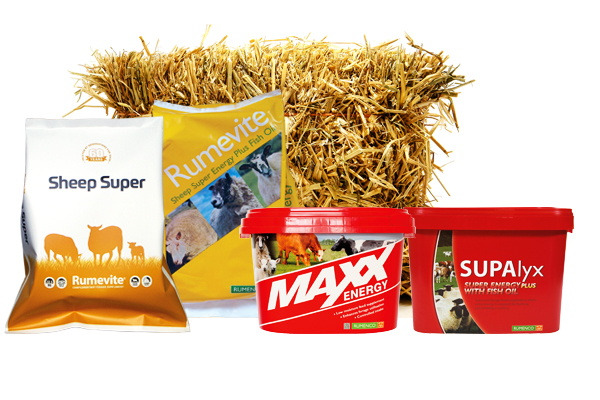 Rumenco are a leading national and international supplier of high quality ruminant feed solutions. Rumevite Graze DUP, Maxx Cattle Mag, Supalyx Sheep