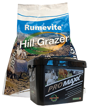 Rumevite Hill Grazer feed block and Promaxx feed bucket lick